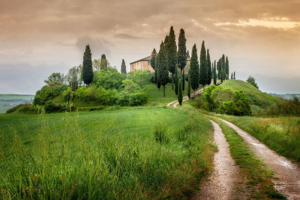 After the rain ... - Nature, Tuscany, Italy, Landscape