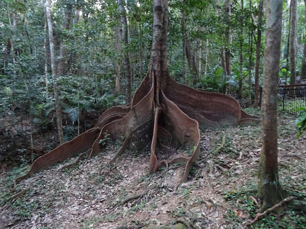 ��������� �������� �������