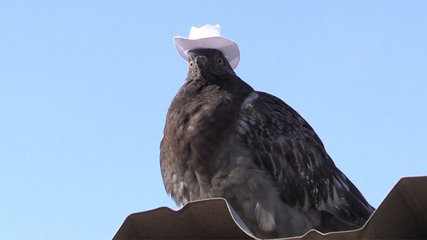 В городе появился новый шериф...