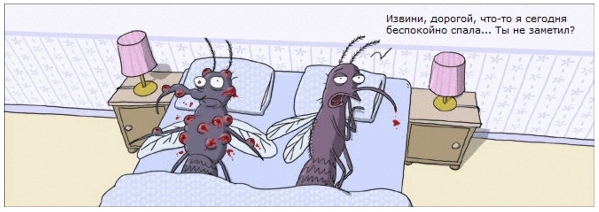 Эта ночь не дает нам спать. Насекомые юмор. Комары юмор. Комар карикатура. Спокойной ночи с комаром.