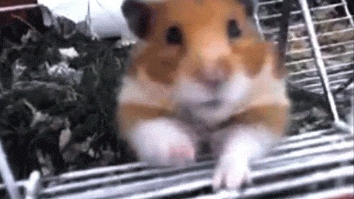   Capcom    Resident Evil