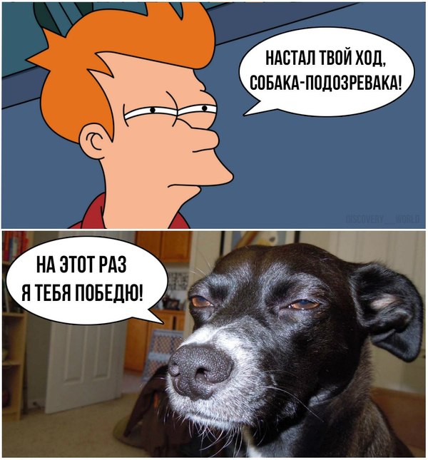 Suspicious dog - Futurama, Comics, Dog