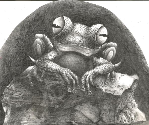 Frog - My, Junior Academy of Artists, Not an artist, Frogs