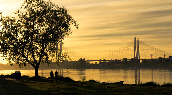 3 seasons, and things are still there. - My, My, Photo, Saint Petersburg