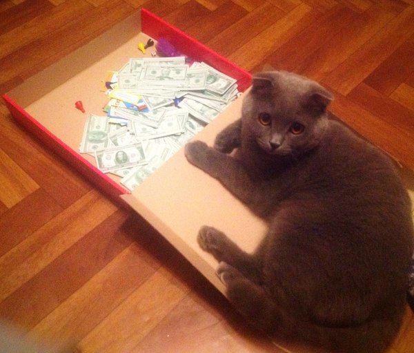 Bablorub - cat, Money, 