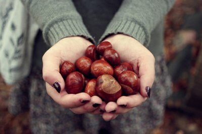 This wonderful time... - My, Autumn, Nature, Longpost