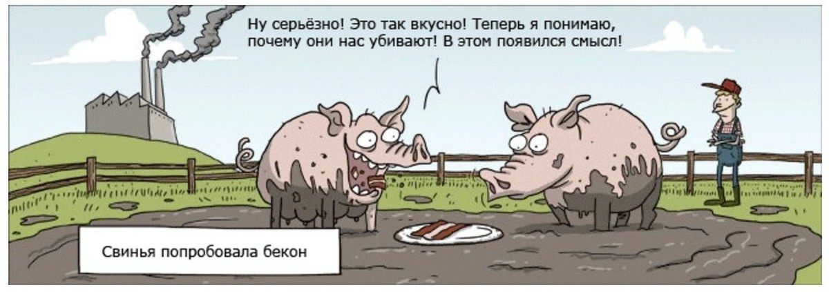 Зарекалась свинья. Свинья карикатура. Комикса о свиньях. Шутки про свиней. Смешные шутки про свиней.