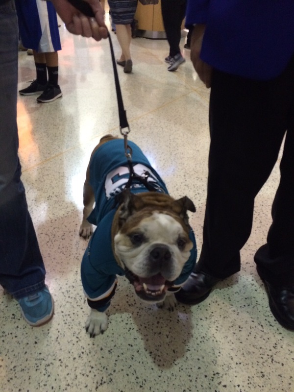 Сходил на игру Sharks и увидел главного болельщика.