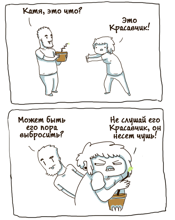 Домашние растения