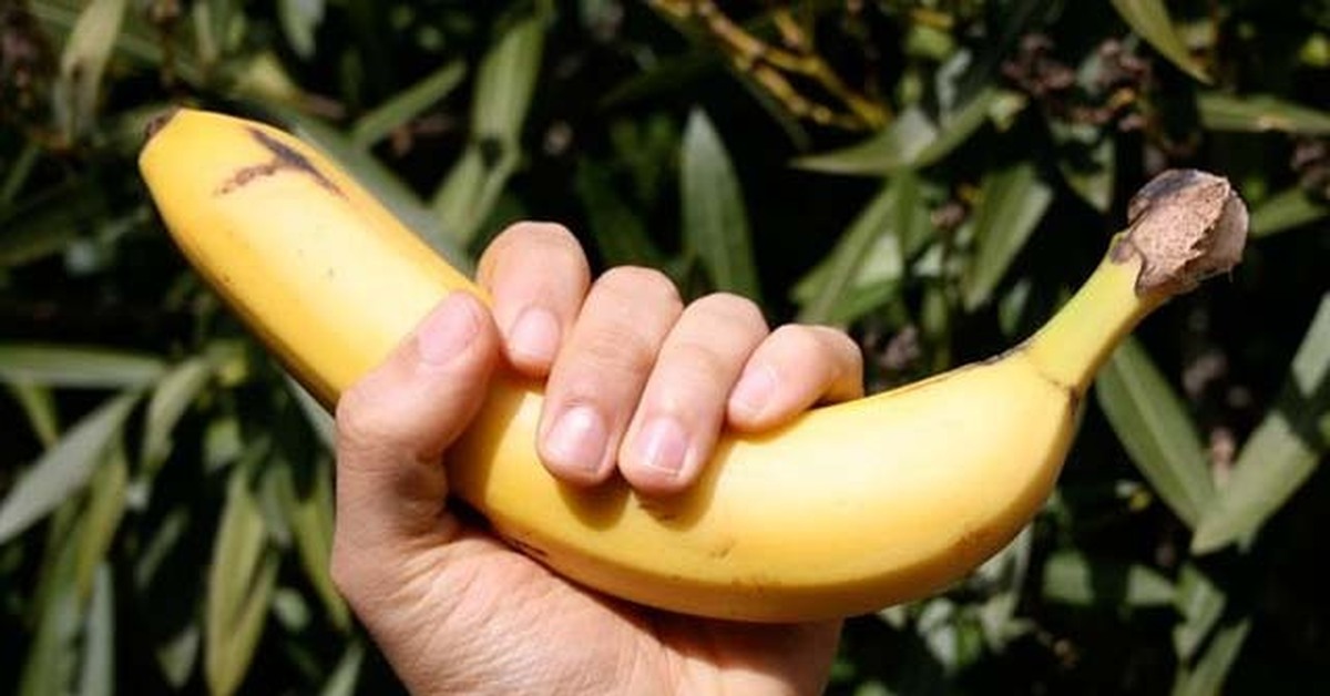 Включи go bananas. Банан в руке. Верхушка банана. Банановая камедь. Взять банан.