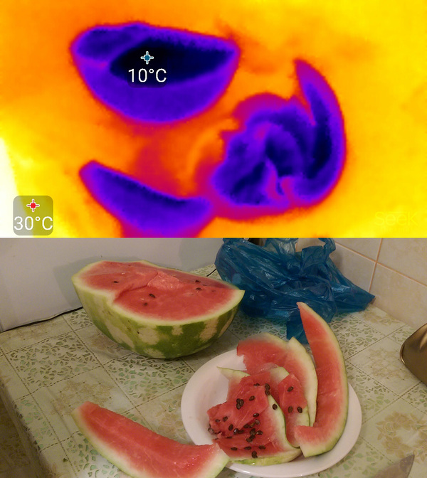 Чуть-чуть тепловизора Тепловизор, Кот, Seek thermal, Арубз, Печь, Кальян, Фен, Вода, Длиннопост