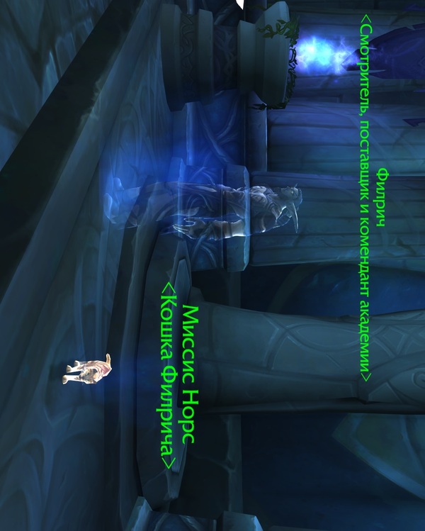 Reference to Harry Potter in WoW - Mrs. Norris, Wow, Harry Potter, Argus Filch