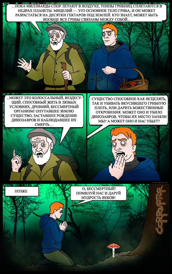 ������ ���������� ��������