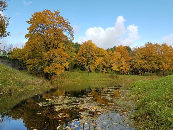 ������� ����� � ������� ���� ������