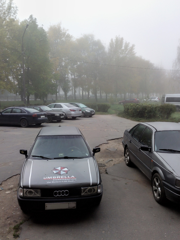 When it didn't work out in the morning. - Raccoon City, Car, Fog, My, Photo, Resident evil