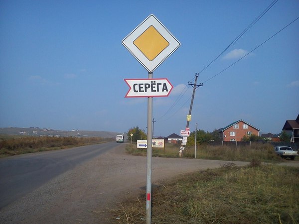 Apparently, he was tired of explaining to his relatives where to go ... - My, Pointer, Zadolbali, Seryoga, Road, Krasnoyarsk