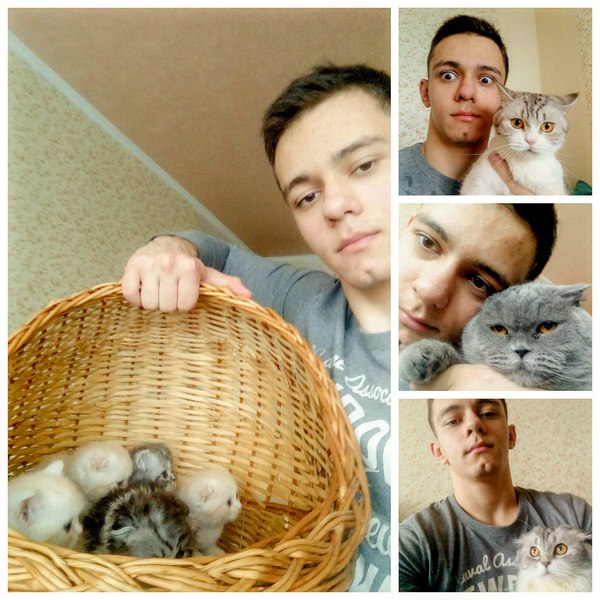 When independent at 19 - My, cat, Many-kotov