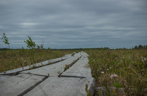 Coast of the White Sea. - White Sea, Church, Longpost