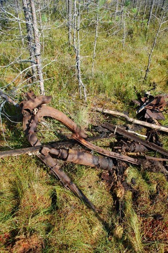 Чтобы помнили. Про штурмовик Ил-2 из Демянского болота. - Чтобы помнили, Великая Отечественная война, Поисковый отряд Демянск, Длиннопост