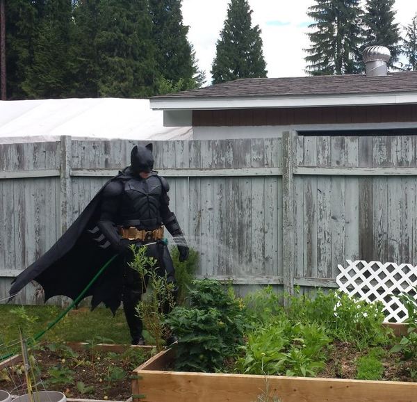 When all the criminals are punished, and the carrot will not water itself. - Photo, Batman, Garden, Hose