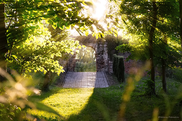 Sunset at the castle ruins - My, Lock, Ruin, Photo, Carpathians