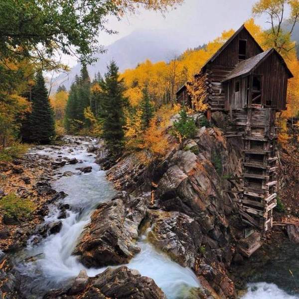 Hut in the forest - Stream, Izba, House in the woods, Nature