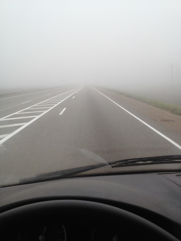 Highway Krasnodar - Kropotkin, fog 9:00. Be careful, don't drive :-) - Photo, Fog, Morning, Road, My