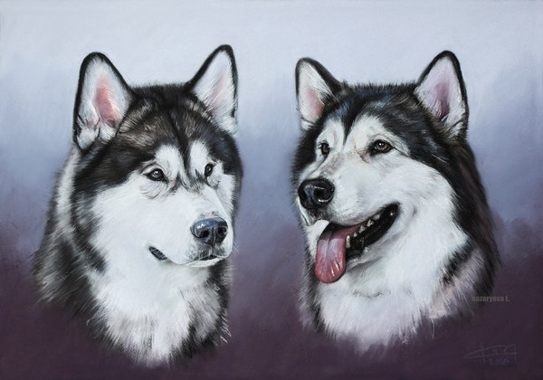 Alaskan Malamutes August and Nika - Portrait, My, Dog, Alaskan Malamute, Pastel