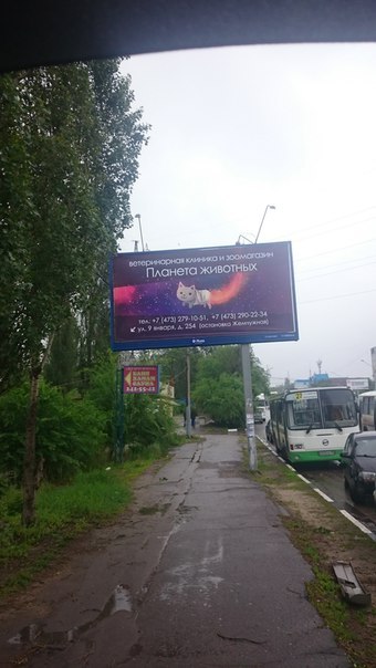 space cat - My, Banner, Advertising, Voronezh