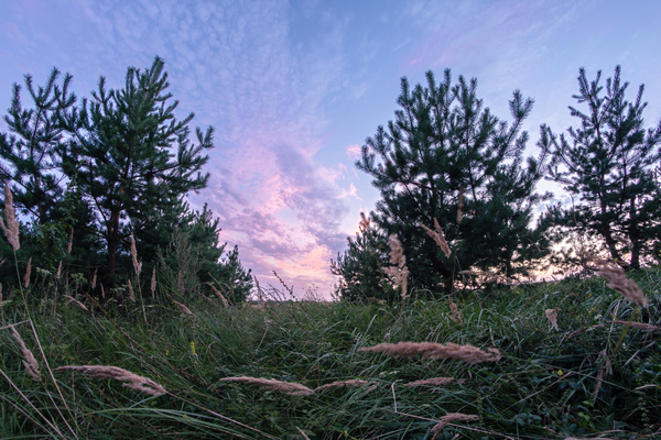  ,     hdr Samyang, 8, Canon, HDR, , 