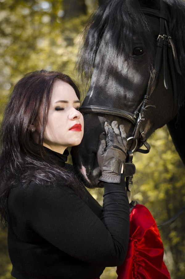 pleasure - My, My, PHOTOSESSION, Horses