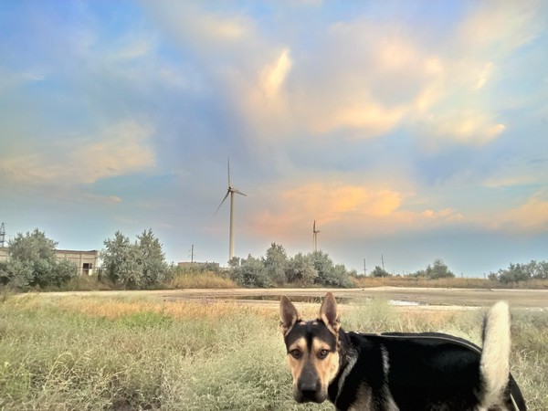 Помогите найти фильм.