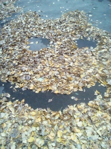 Позитивной осени пост...