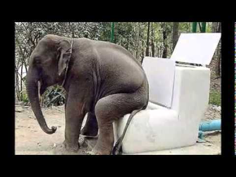 ��� ����� � ������ �����