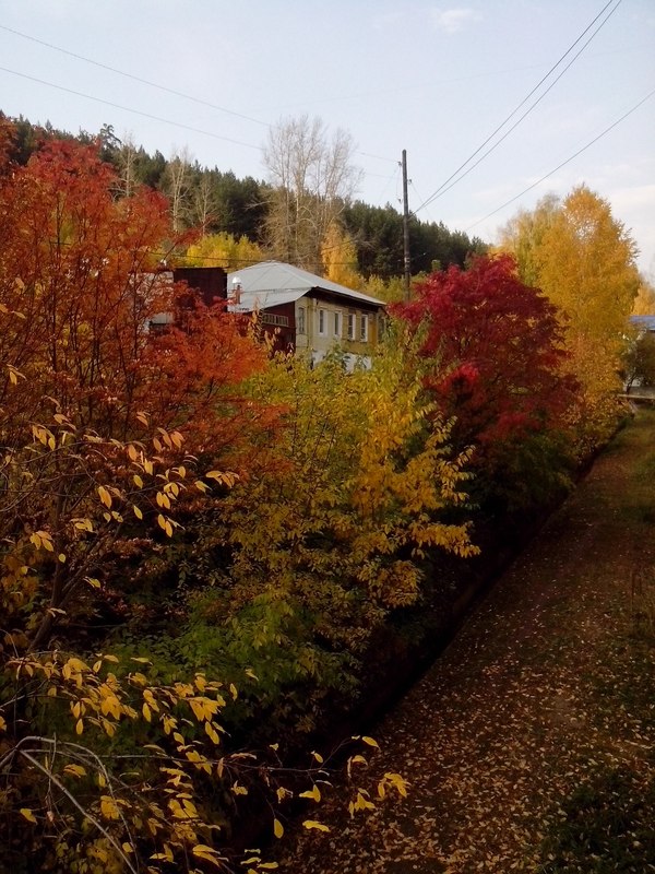 Autumn - My, Autumn, House, Zlatoust