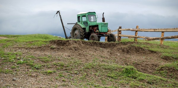 Tractor boy. - My, Photo, Tractor