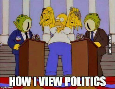 How do I see politicians? - The Simpsons, Homer Simpson, Zhzdryts