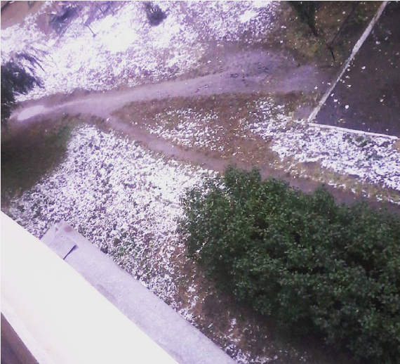 First snow in Omsk. 07.10.16 - October, Omsk, Snow, My