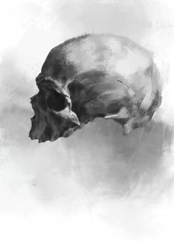 Scull. sketch - My, Scull, Computer graphics, 2D, Art, Drawing, Black and white