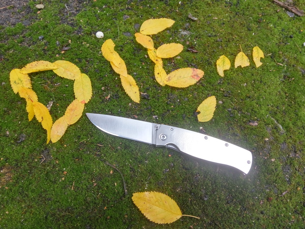 Autumn says hello. - My, Autumn, Knife, Depression