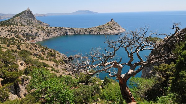 Who is good to live in Crimea? - My, Crimea, Russia, Tourism, Question, Longpost