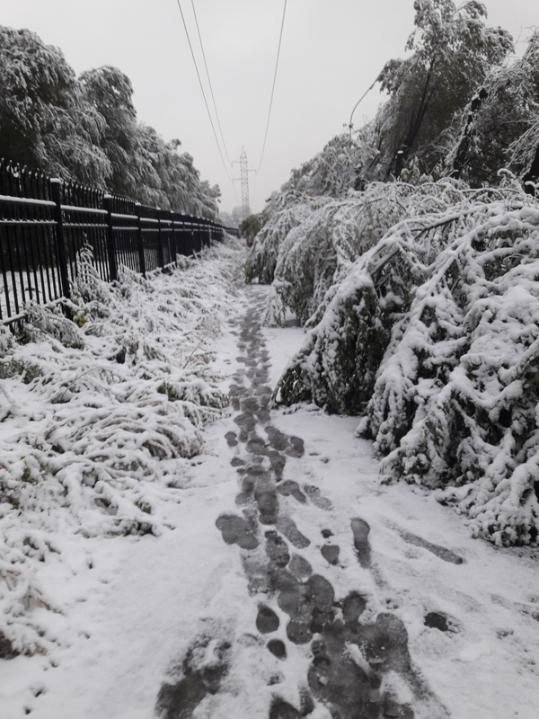 With the first snow Ust-Kamenogorsk! - My, Snow, Ust-Kamenogorsk, Longpost