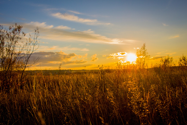 Sunset - My, Autumn, Sunset, Komi, Canon