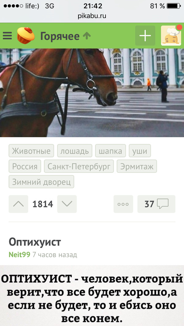 The horse above? - Screenshot, Tags are clearly not mine