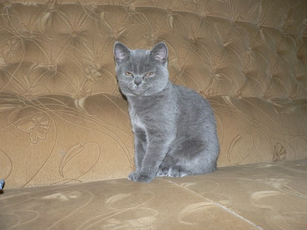 Я знаю что ты делал этим летом