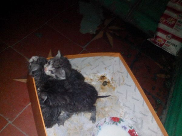 �������. �������� ����� ������.