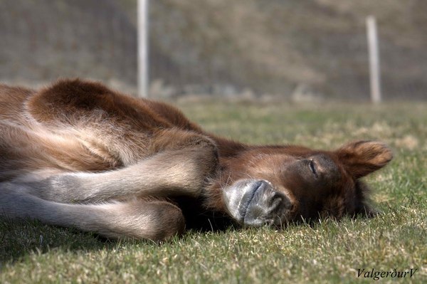 Еще 5 минуточек