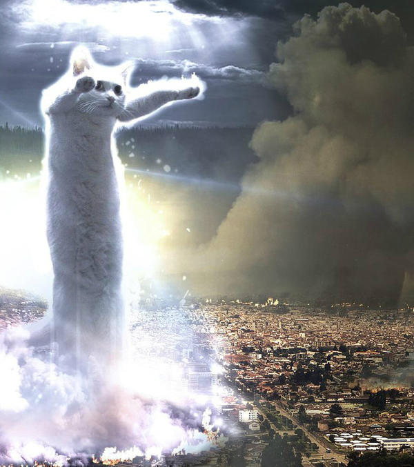 I bless this city for good. - cat, Photoshop, Photo, Town, Good, Evil, Longpost, Kindness