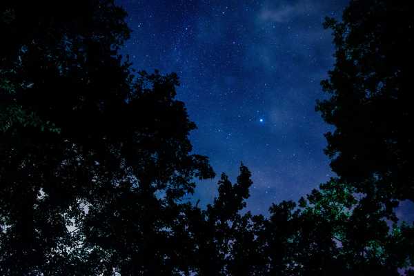 Quiet night - My, Night, The photo, Photo, , Starry sky, Forest, Stars