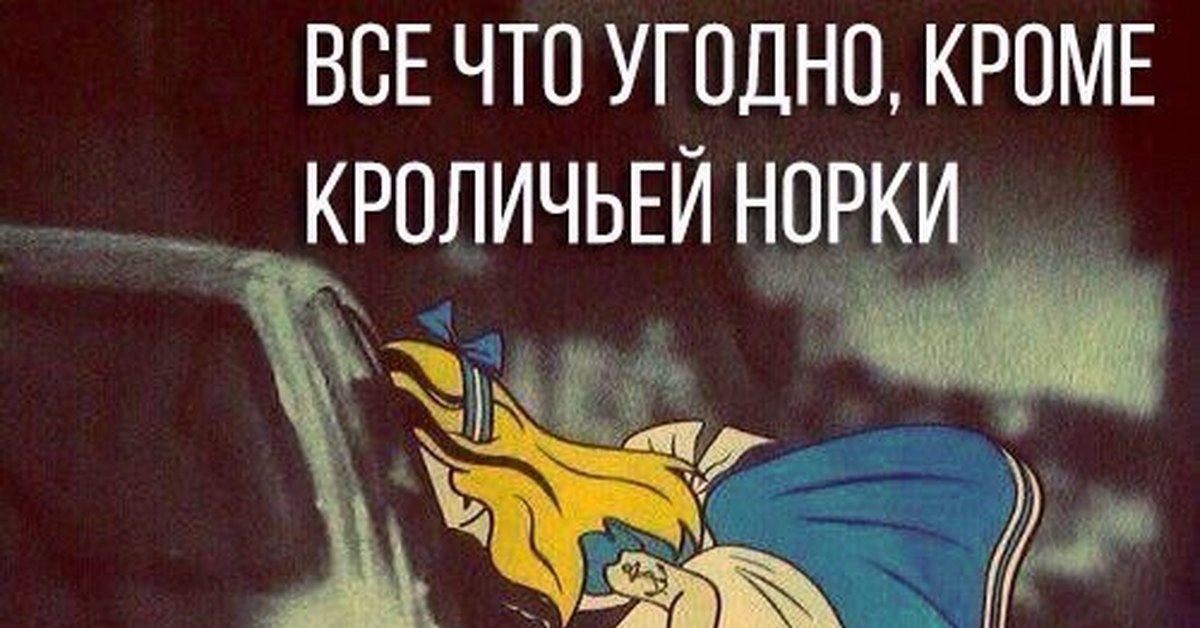 Алиса | Пикабу